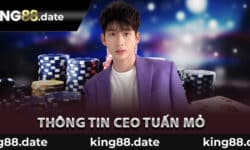 Thông tin CEO tuấn mỏ